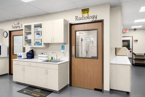radiology