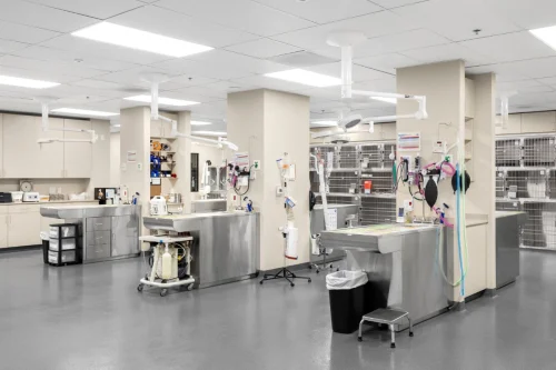 treatment-tables